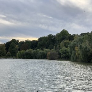 IMG_0165.jpeg