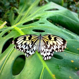 IMG_5881.jpg