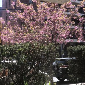 IMG_1132.jpeg