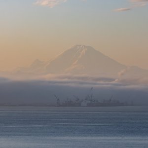 IMG_1943.jpg
