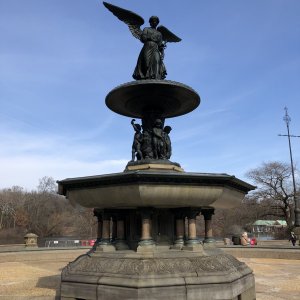 IMG_4424.jpeg