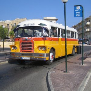 IMG_1952.jpeg