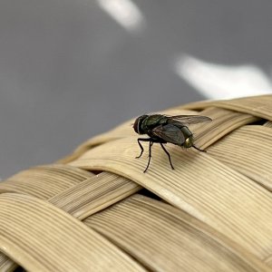 IMG_8021.jpeg