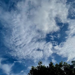 IMG_3369.jpeg