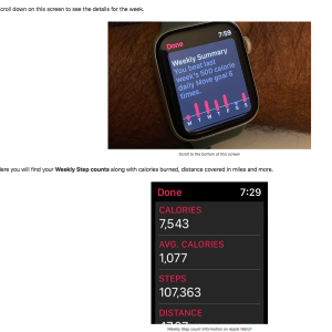Screen Shot 2023-04-24 at 13.51.48.png