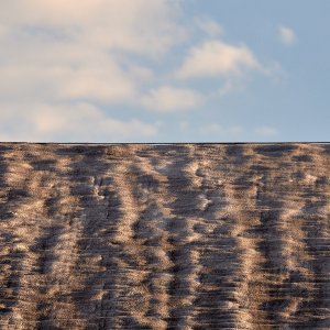 2023-04-25 ~ _R5_9536.jpg