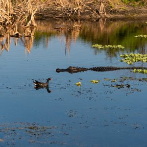 March 31 2023 - 2500px-13.jpg