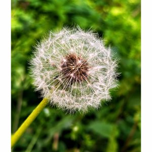 IMG_3331.jpeg
