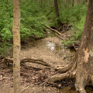 Battelle Darby - Small waterway near Chase Trail 1.png