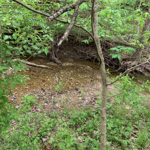 Battelle Darby - Small waterway near Chase Trail 2.png