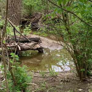 Battelle Darby - Small waterway near Chase Trail 3.png