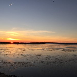 IMG_0055 1.jpeg