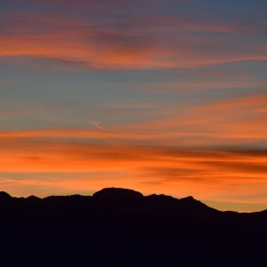 850_2079 copy.JPG