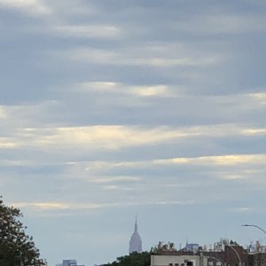 IMG_0136.jpeg