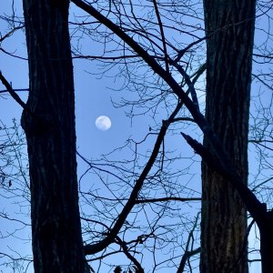 IMG_3918.jpg