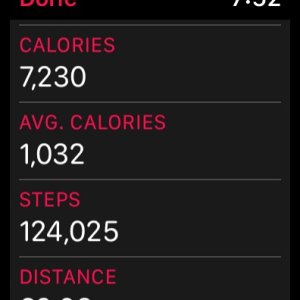 Steps.jpg