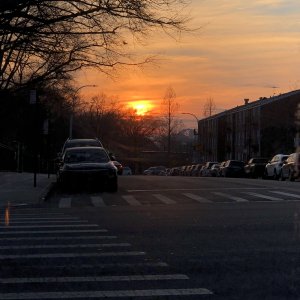 IMG_0276.jpeg