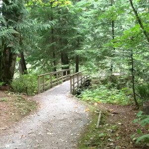 IMG_0733.JPG