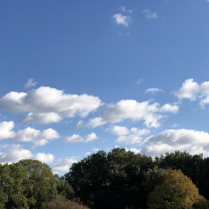 IMG_0177.jpeg