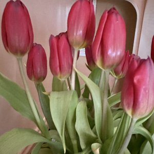 IMG_1524.jpeg