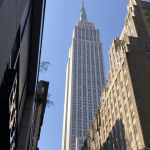 IMG_9687.jpg