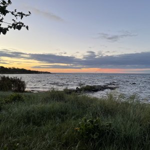 IMG_0203.jpeg