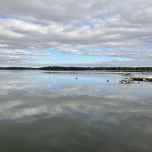 IMG_0044.jpeg