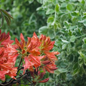 POTD May 5th - 1.jpeg