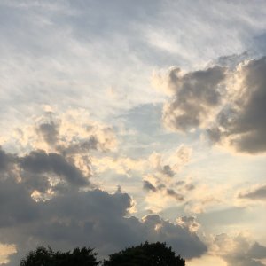 IMG_0455.jpeg