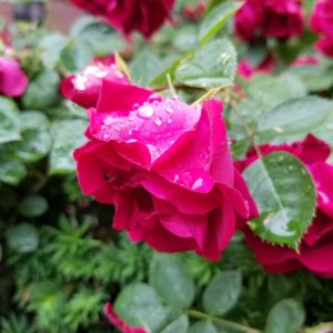 20180531_175953.jpg