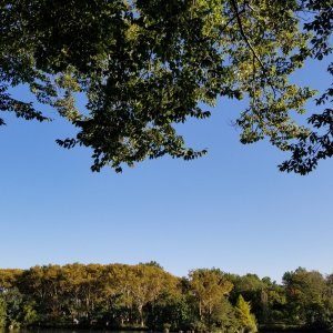 20171001_165749.jpg