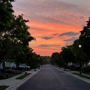IMG_3639.jpeg