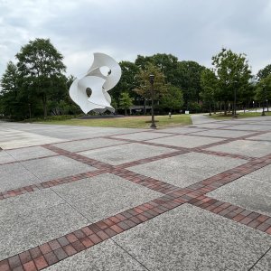 IMG_2815.jpeg