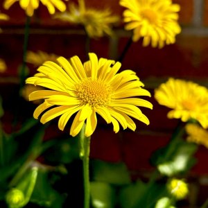 IMG_5929.jpeg