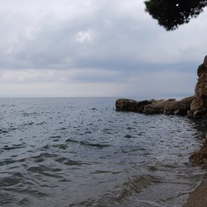 DSC_0555.jpeg