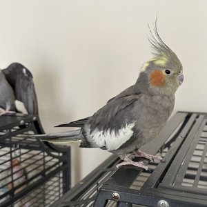 IMG_0050.jpeg