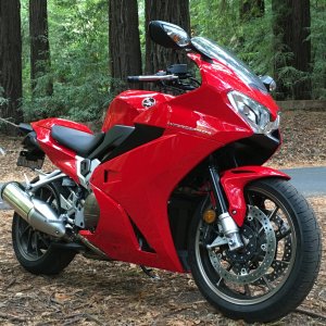 Redwood 800.jpeg