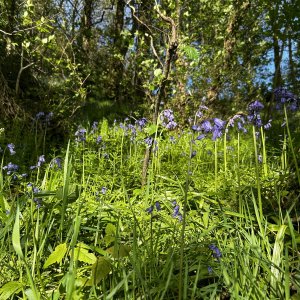 IMG_6539.jpeg