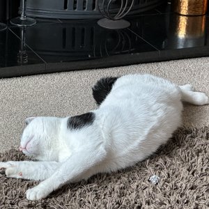 IMG_0096.jpeg