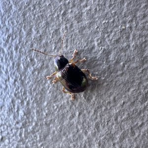 IMG_5750.jpeg