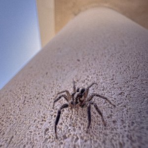 IMG_9080.JPG