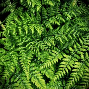 IMG_6844.jpeg