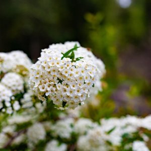 _MG_9765.jpg