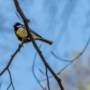 POTD May 17 - 1.jpeg