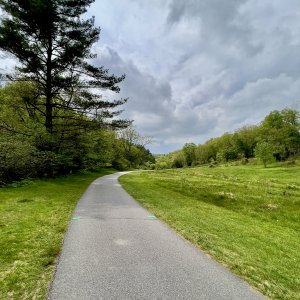 IMG_5508.jpg