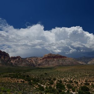 850_2285 copy.JPG