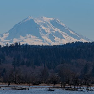 Nisq_IMG_2731.jpg