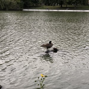 IMG_0170.jpeg