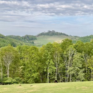 IMG_5379.jpg