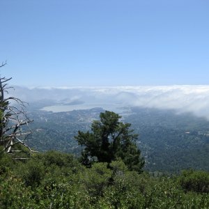 IMG_0522.jpeg